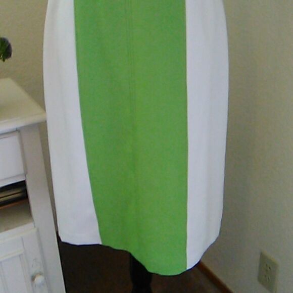 Ellen Tracy Beautifully Seamed Colorblock Dress - Picture 4 of 11